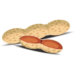 Two Peanuts One Unpeeled Showing Brown Kernels Inside On White Transparent Background With Soft Shadow