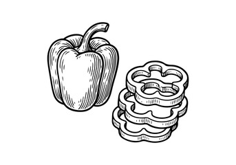 Bell pepper paprika hand drawn simple engraved vector illustration