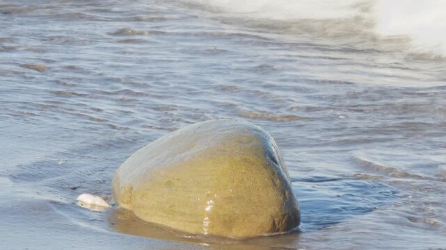 Stunning slow-motion close-up captures the persistence of nature as foamy ocean waves continuously crash against and flow around a large, smooth, amber-colored rock. 