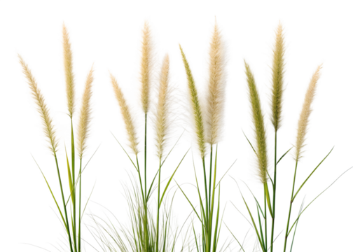 Golden 3d numbers representing the year 2026 with a metallic texture on a black background