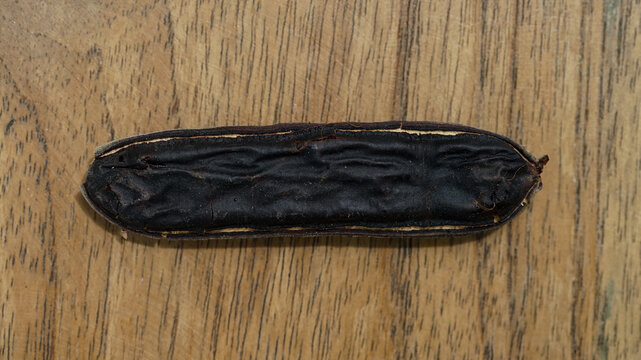 Dried fruit of the trembesi tree (Samanea saman)