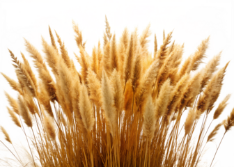 Hand holding a red foil wrapper package against a solid black background studio shot