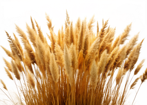 Hand holding a red foil wrapper package against a solid black background studio shot