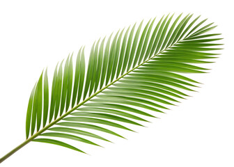 Obraz premium Person s hands holding a blank white screen tablet device vertically against a black background for digital content