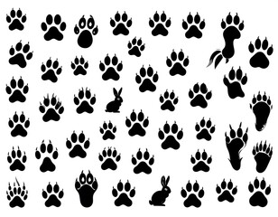 Naklejka premium Diverse collection of various animal paw prints in a simple, symmetrical design.