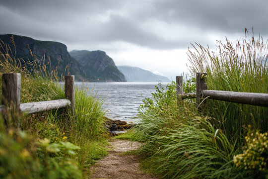 Peaceful path leading to a scenic lake surrounded by lush greenery