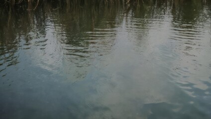 Gentle ripples on a water surface reflect sky and shoreline vegetation in a muted, natural scene