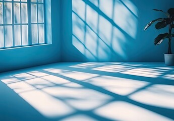 Blue room, light streams through window onto empty floor