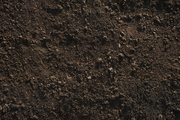 Fertile loam soil suitable for planting, soil texture background.
