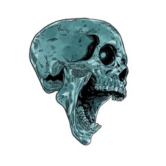 skull with hatching technique that is screaming
