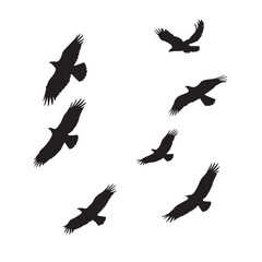 Obraz premium set of silhouettes of birds