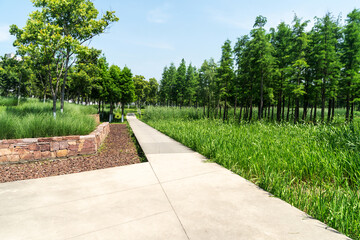 The road of City Park in China © gjp311