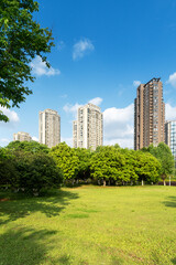 Fototapeta premium city park with modern building background in shanghai
