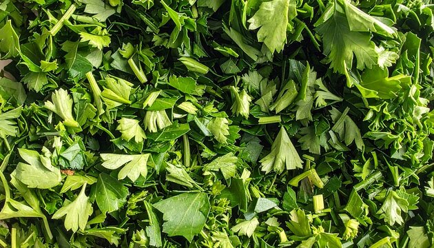 A close-up view of finely chopped fresh parsley and celery, showcasing a vibrant green hue and dense texture.