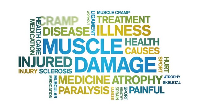 Muscle Damage animated word cloud-text design animation tag kinetic typography seamless loop.һ����: