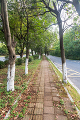 walkway in the modern city