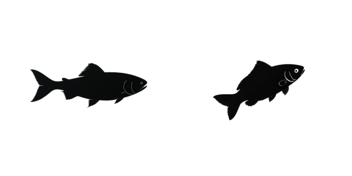 Silhouettes of Fish Swimming in Black Water on Stock Background