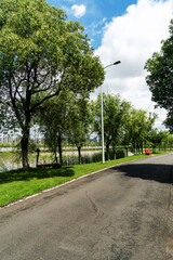 Fototapeta premium The road of City Park in China