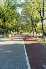 New pathway and beautiful trees track for running or walking and cycling relax in the park