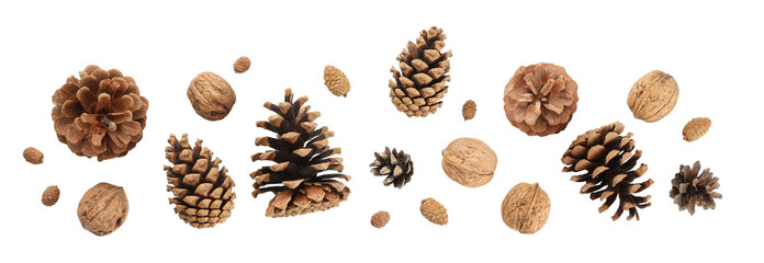 Pine cones and nuts are displayed for holiday crafting, on white, PNG