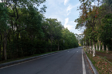 Empty urban road and buildings in the city