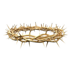 Obraz premium Crown of thorns isolated on transparent background for the easter season