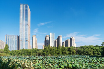 Fototapeta premium Lakeside modern office building in China