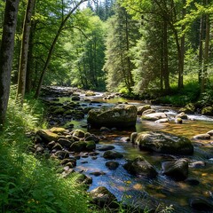 Serene River Flowing Through Lush Green Forest Landscape.