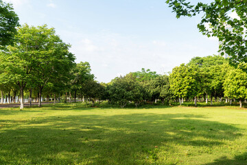 Beautiful panorama of green city park