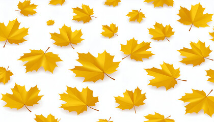 Autumnal Maple Leaf Pattern on White Background.