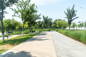 Obraz premium spring park and modern city