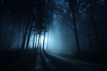 Modern illustration depicting a landscape with silhouettes of blue trees in a dark night forest