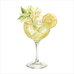 Elderflower Liqueur Cocktail Watercolor Vector Illustration on White Background
