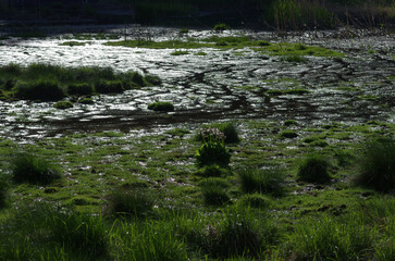 地底からふつふつと湧き出る源泉。まるで地球の奥底を覗いているような不思議な気持ちになった。不安と神秘が頭の中で交差する。あるいは地獄絵か？　うめき声が聞こえてくる。混沌とした世の中、地球温暖化という重大な危機を迎え、この母なる地球が、今、悲鳴を上げている。地球からあらゆる資源を取り上げ、奪ってきた人間・ホモサピエンス。今、私たちは何をなすべきか、できることは何か。