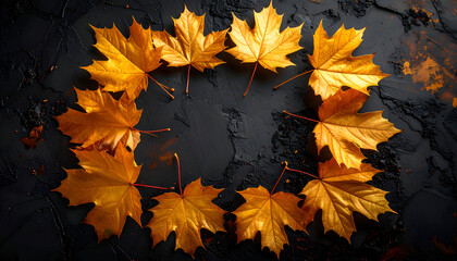 Vibrant autumn maple leaves forming a natural frame on a dark wet background.