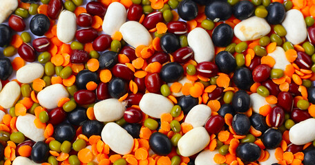 Colorful mixed beans and lentils, packed with plant-based protein and fiber