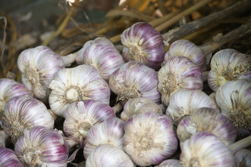 A pile of fresh garlic bulbs, perfect for cooking delicious and flavorful meals.