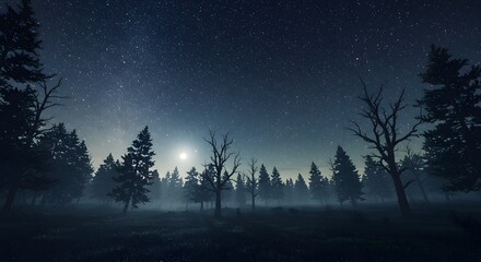 Fototapeta premium Night Forest Scene with Starry Sky and Bright Moonlit Trees