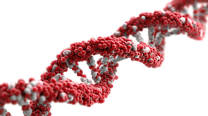 Red DNA double helix model with spherical bead nucleotides twisting through white space. in red hue!