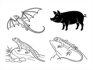 coloring page line art the flying lizard black vector bundle