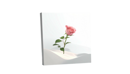 A pink rose in soft, abstract white, standing on a slightly inclined plane