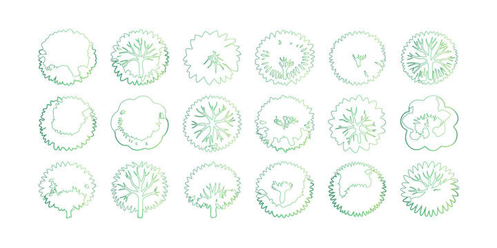 Detailed Green Tree Top View Vector Set for Landscape Architecture and Garden Design Plans
