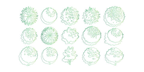 Green Top View Tree Vector Set Ornamental Garden Design Elements for Landscape Plan