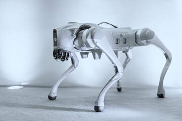 Robotic cyber dog on the plain background.