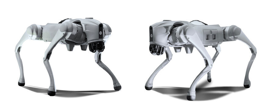 Robotic cyber dog on the plain background.