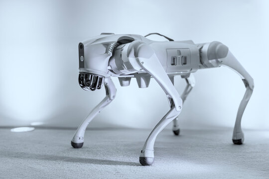Robotic cyber dog on the plain background.