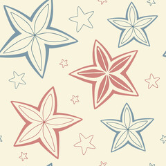 Fototapeta premium Minimalist Star Geometry