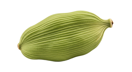 Close up view of a single green cardamom pod with visible ridges and a stem like structure on transparent background
