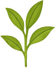 Elements of Japan Watercolor Illustration