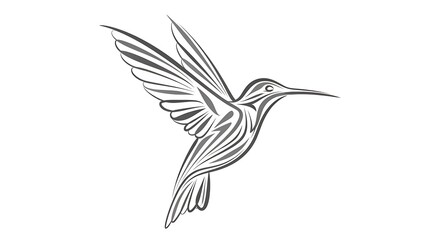 Obraz premium Hummingbird in flight, a beautiful and elegant bird, isolated on white background